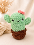 Blooming Cactus Plush 🌸